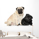 Pugs Black and Brown Wall Decal