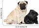 Pugs Black and Brown Wall Decal