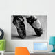 Ballet Shoe Wall Decal