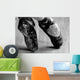Ballet Shoe Wall Decal