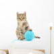 Cat with ball of yarn Wall Decal