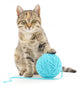 Cat with ball of yarn Wall Decal
