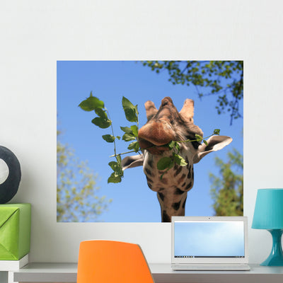 Giraffe Wall Decal 2 shown on a wall