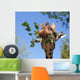 Giraffe Wall Decal