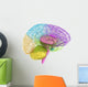 Creative concept of the human brain Wall Decal