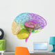Creative concept of the human brain Wall Decal