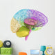 Creative concept of the human brain Wall Decal