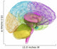 Creative concept of the human brain Wall Decal