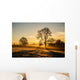 Sunrise Fields Cornwall UK Wall Decal