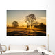 Sunrise Fields Cornwall UK Wall Decal