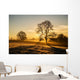 Sunrise Fields Cornwall UK Wall Decal