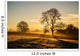 Sunrise Fields Cornwall UK Wall Decal