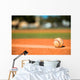 Baseball Pitchers Mound 2 Wall Decal
