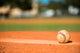 Baseball Pitchers Mound 2