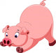 Cute Pig Cartoon