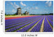 Flowers and Windmills HollWall Decal