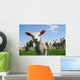 Curious Lamb Spring Wall Decal