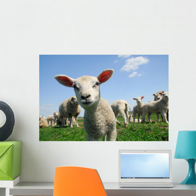 Curious Lamb Spring Wall Decal shown on a wall