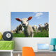Curious Lamb Spring Wall Decal