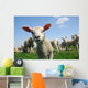 Curious Lamb Spring Wall Decal