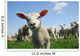 Curious Lamb Spring Wall Decal