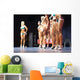 Women Body Fitness Competition Wall Decal