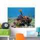 Colorful Tropical Sea Life Wall Decal