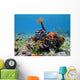Colorful Tropical Sea Life Wall Decal