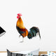 Rooster Wall Decal