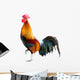 Rooster Wall Decal