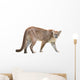 prowling puma Wall Decal