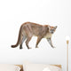 prowling puma Wall Decal