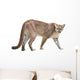 prowling puma Wall Decal