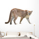 prowling puma Wall Decal