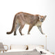 prowling puma Wall Decal
