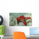 Starfish Red Wall Decal