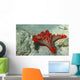 Starfish Red Wall Decal