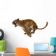 Wild Puma Wall Decal