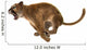 Wild Puma Wall Decal
