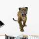 Wild Jaguar Wall Decal