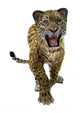 Wild Jaguar Wall Decal