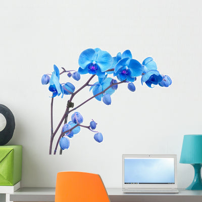 Blue Orchid Flowers Wall Decal shown on a wall