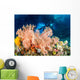 Cave Diving Raja Ampat Wall Decal