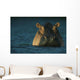 759998 Preview Jpg Wall Mural