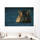 759998 Preview Jpg Wall Mural