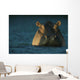 759998 Preview Jpg Wall Mural