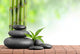 zen stones Wall Decal