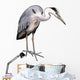 Grey heron Wall Decal