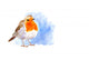 Robin 2