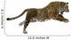 Wild Jaguar Wall Decal